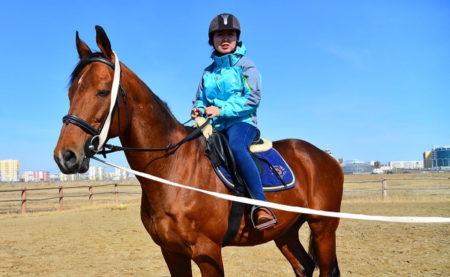 Сенокосилка конная — особенности, устройство, своими руками